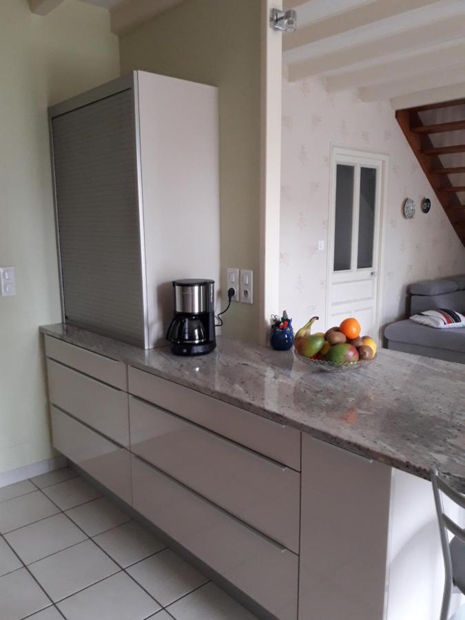 Le Logis De Lange Apt Les Aigrettes Saint-Hilaire-la-Palud Eksteriør billede