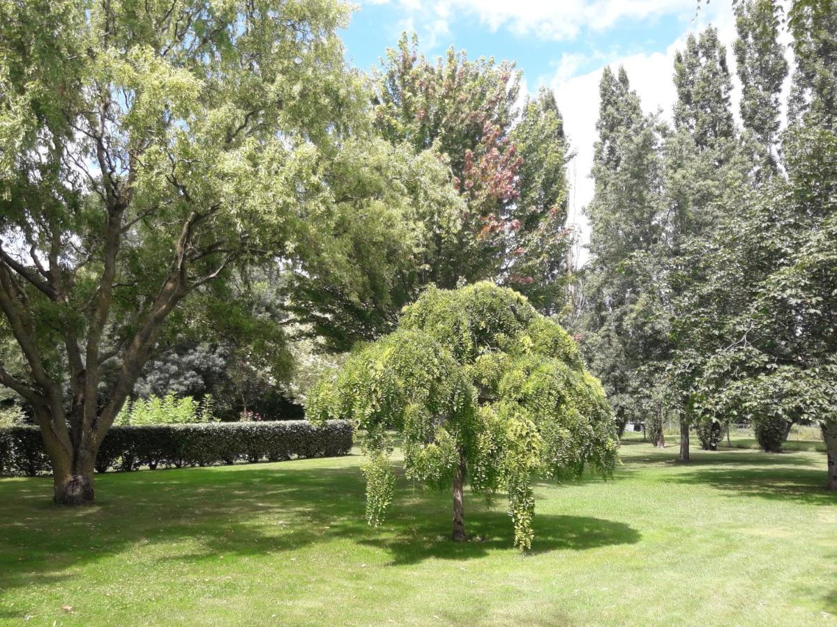 Le Logis De Lange Apt Les Aigrettes Saint-Hilaire-la-Palud Eksteriør billede
