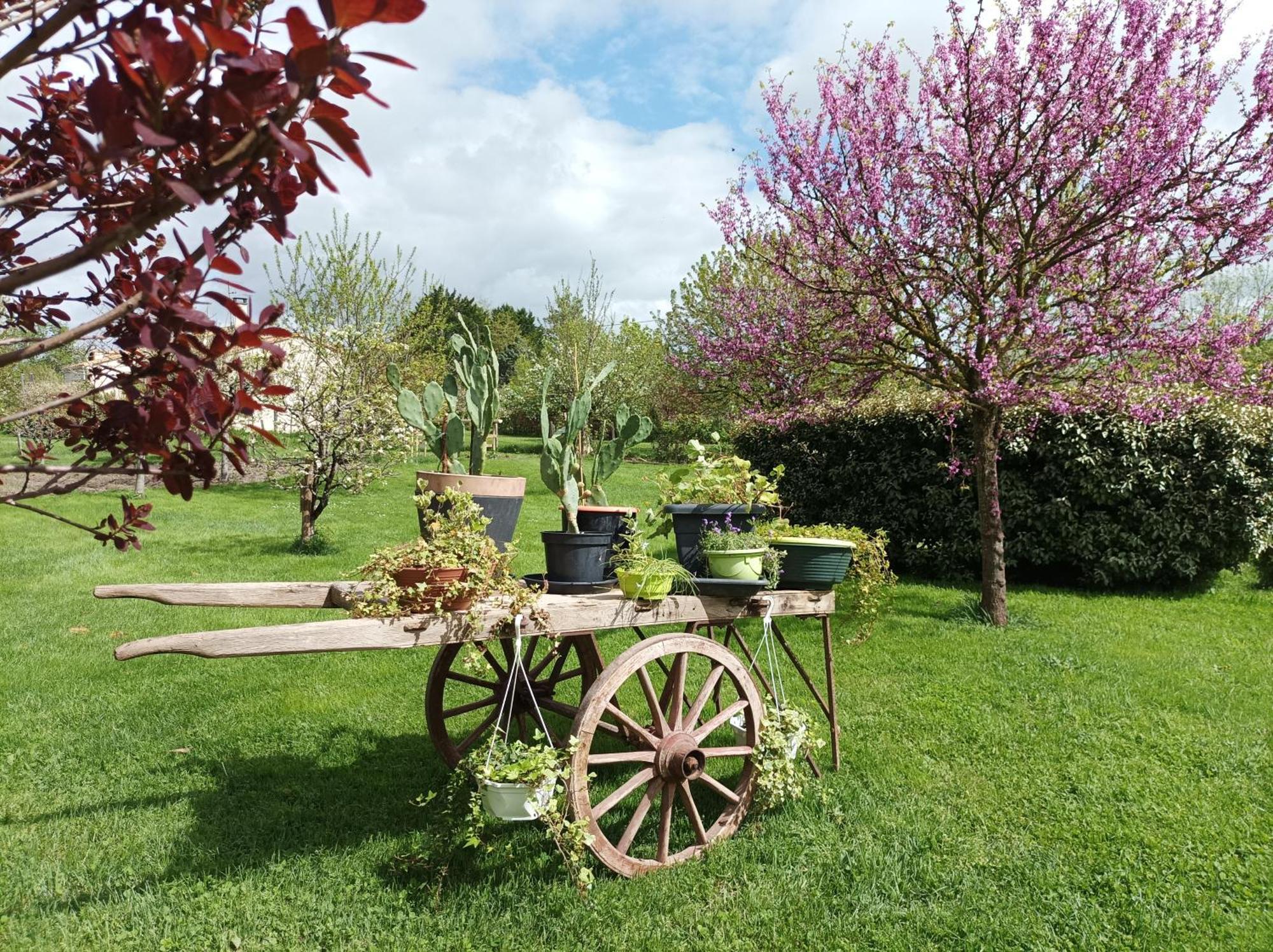 Le Logis De Lange Apt Les Aigrettes Saint-Hilaire-la-Palud Eksteriør billede