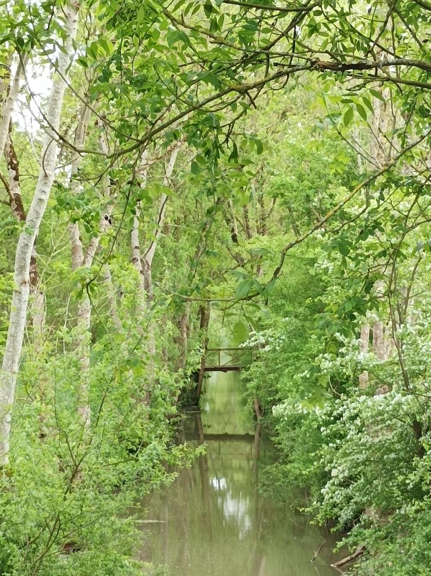Le Logis De Lange Apt Les Aigrettes Saint-Hilaire-la-Palud Eksteriør billede
